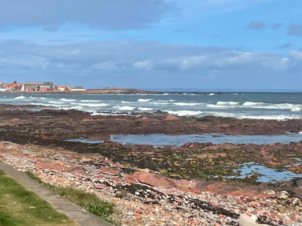 IMG 3338