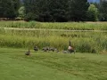 IMG 13671
