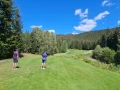 IMG 1475