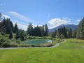 IMG 1478