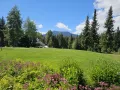 IMG 1486