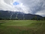 img 1357