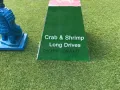 2017 hairy crab   68 of