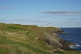 hasanand0210