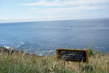 hasanand0353
